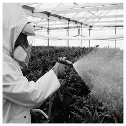 Manufacturers Exporters and Wholesale Suppliers of Agricultural Pesticides Mumbai Maharashtra